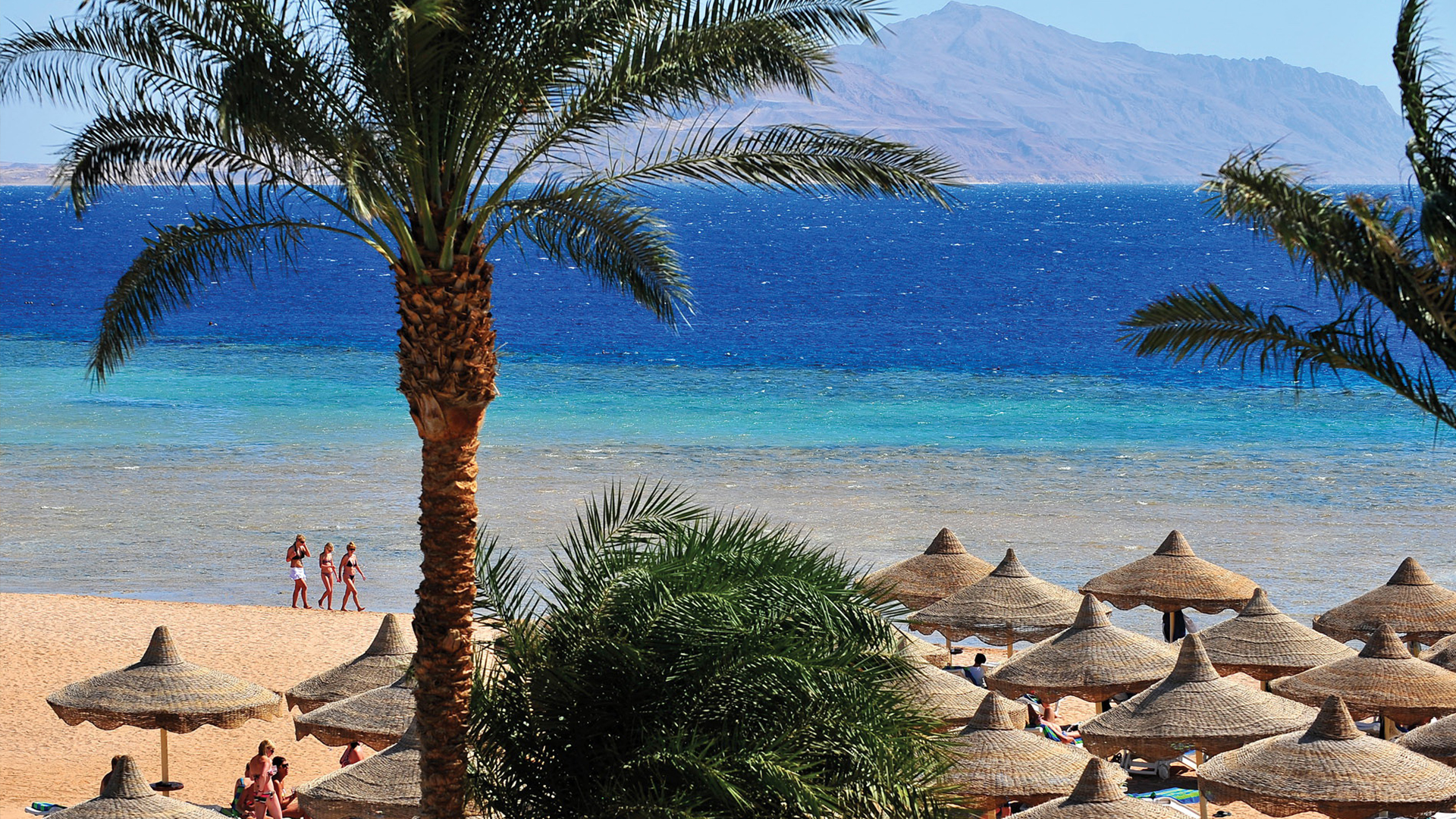 Baron Palms Resort - Image 6