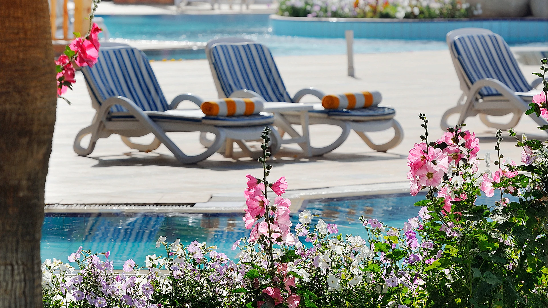 Naama Bay Promenade Beach - Image 4