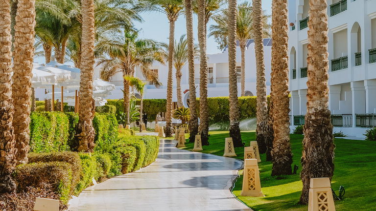 Baron Palms Resort - Image 8