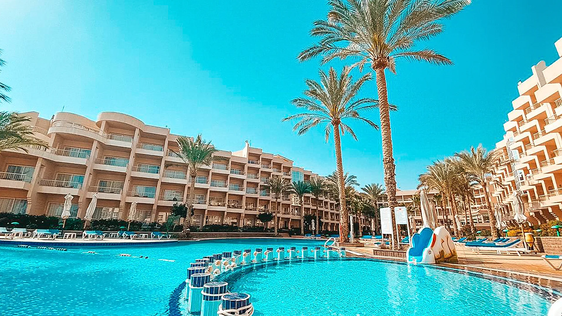 Sea Star Beau Rivage