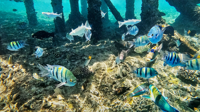 Club Reef Hotel - Image 7