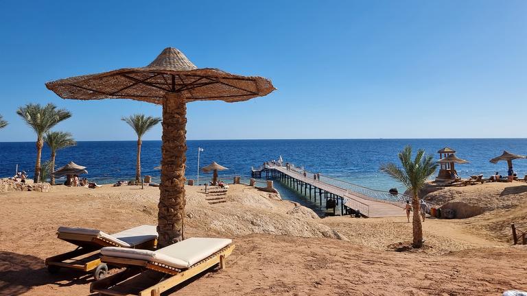 Monte Carlo Sharm - Image 7