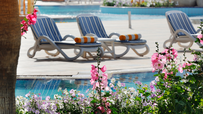 Naama Bay Promenade Beach - Image 4