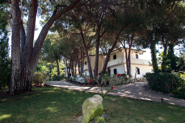 Villaggio Pineta Petto Bianco - Image 5