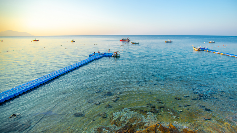 DoubleTree by Hilton Sharks Bay - Image 5